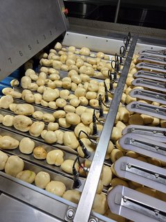 Modernisation patate