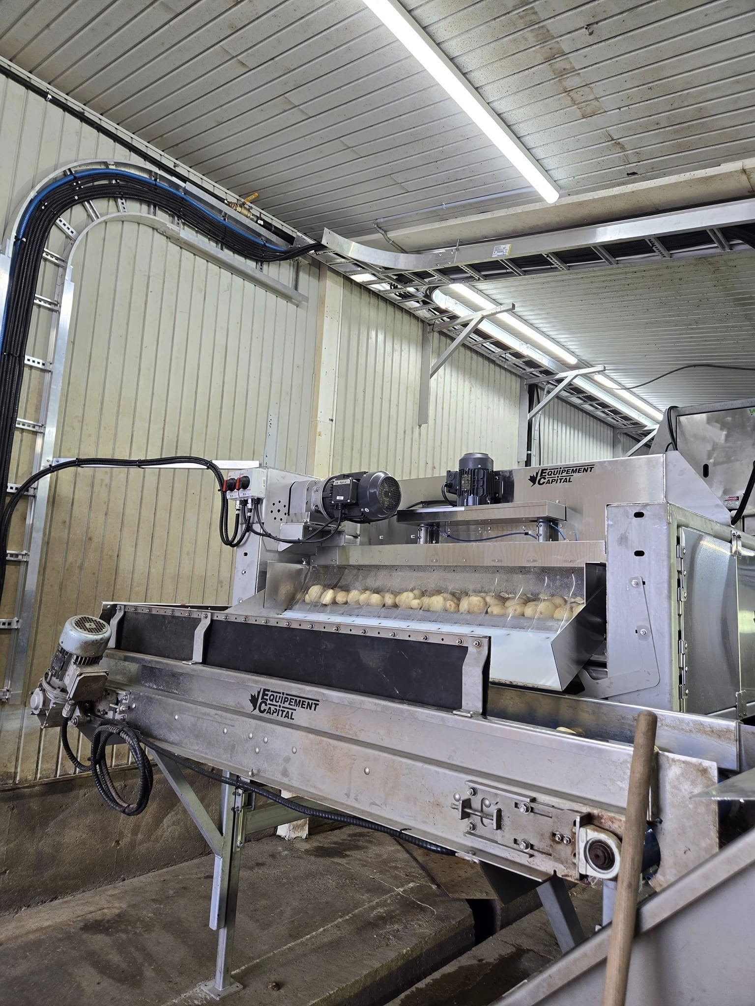 Modernisation patate